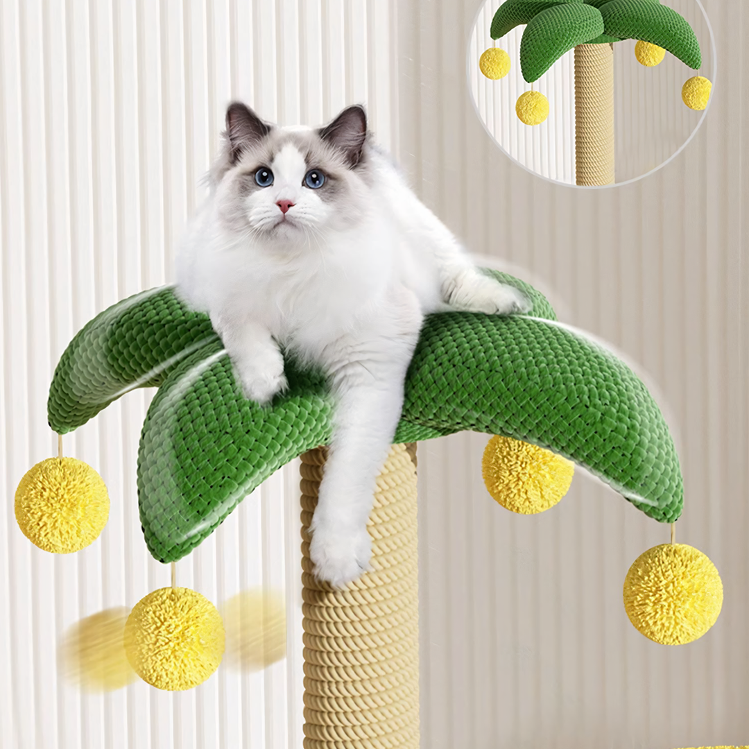 CATTREE4FREE