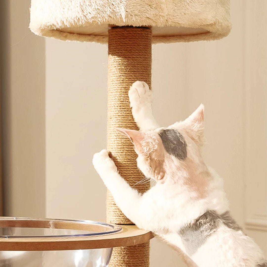 Jago Cat Climber, Wood Cat Tree, Oak