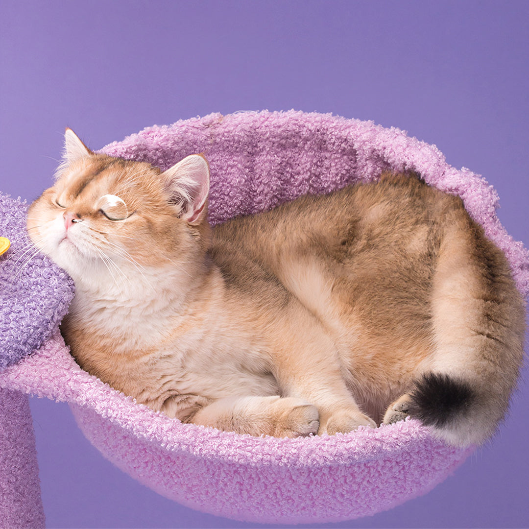 Díaz Cat Climber, Cat Tree, Coral Fleece, Purple